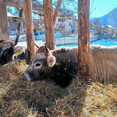 Willa Koflhof Urlaub Auf Dem Bauernhof Aldino Zewnętrze zdjęcie