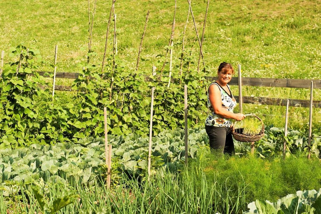 Willa Koflhof Urlaub Auf Dem Bauernhof Aldino Zewnętrze zdjęcie